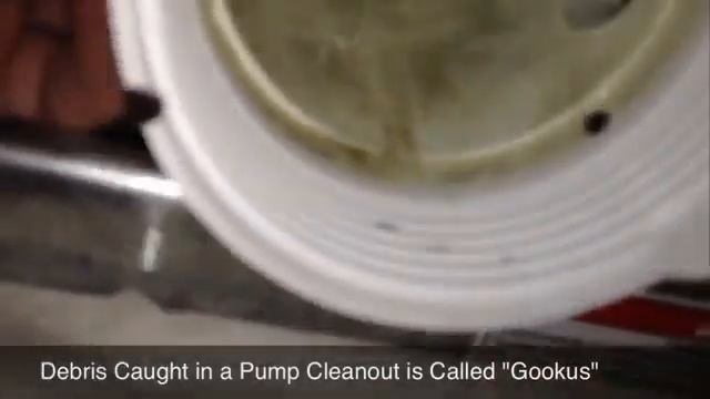 Утечка в стиральной машине с фронтальной загрузкой, п? смотреть онлайн