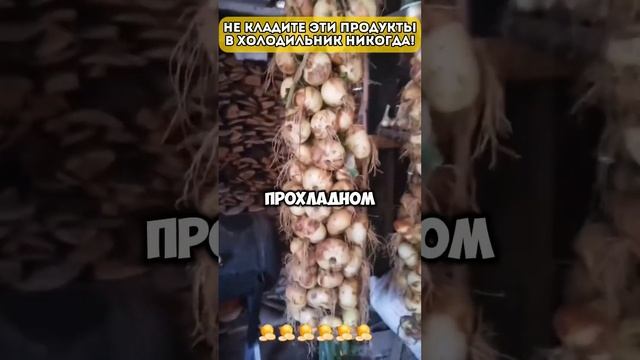 Не кладите эти продукты в холодильник никогда #народн? смотреть онлайн