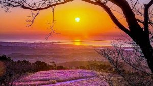 КАК АУКНЕТСЯ, ТАК И ОТКЛИКНЕТСЯ.