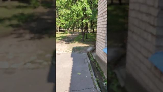 🇺🇦. Запорожье. 20.08.22. Парк Дубовая Роща. Советский аттракцион Автодром. Бесплатные туалеты. ч. 1 смотреть онлайн