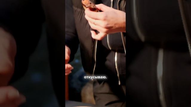 Цветы из мяса и баклажанов невероятно вкусный рецеп? смотреть онлайн