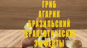 ГРИБ АГАРИК БРАЗИЛЬСКИЙ