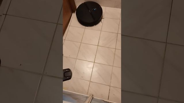 Влажная уборка робота-пылесоса Roborock E4 смотреть онлайн