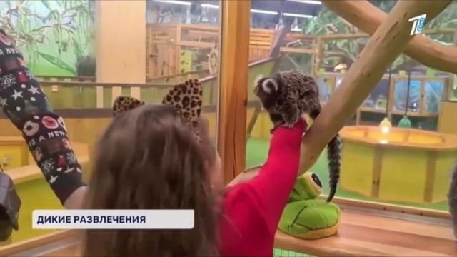 ЭКЗОТИЧЕСКИЕ ЖИВОТНЫЕ смотреть онлайн