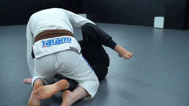 15. Breaking and Passing Z Guard Gi