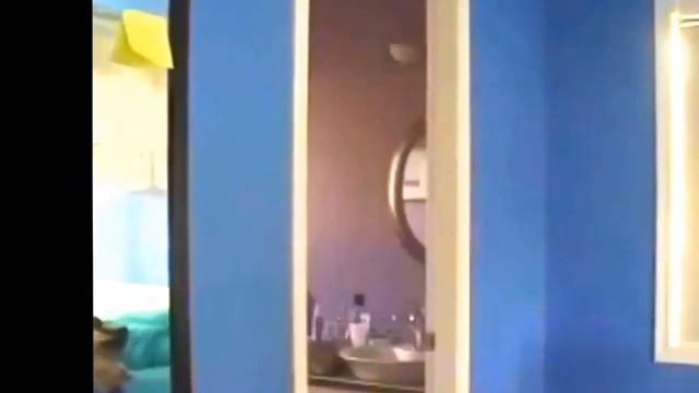 Лучшие видео приколы 2015 смотреть онлайн