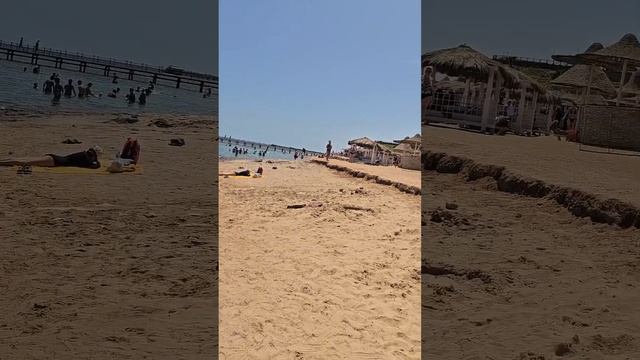 Обзор Пляжа Parrotel Lagoon Resort 5* отель Египет Шарм - Эль - Шей?