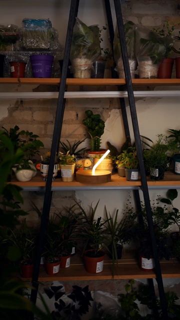 Светильник Свеча из неона ручной работы от #elmarto #неон #