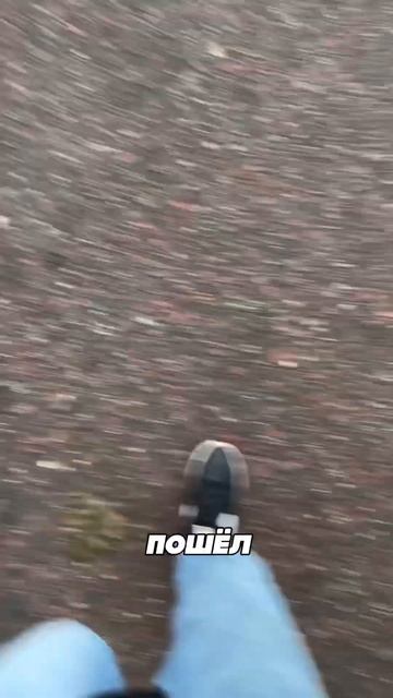 200$ С ПОЛНОГО НУЛЯ НА ПЕРЕГОНЕ ТРАФИКА С Тик Ток в ТЕЛЕГ смотреть онлайн