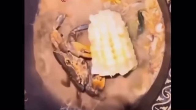 Краб ест кукурузу смотреть онлайн