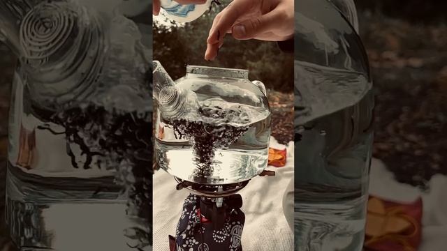 Эстестика варки чая на открытом огне #tea #tea_ceremony #чайна? смотреть онлайн