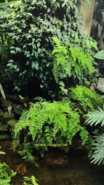 ресурс перед экзаменом смотреть онлайн