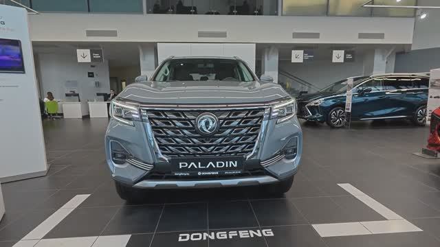 Oting Paladin 2025 обзор смотреть онлайн