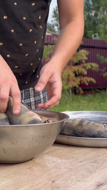 Рыба 🐟 сегодня #казан #шашлык #bbqdishes #food #мясо #bbqfoods #рец смотреть онлайн