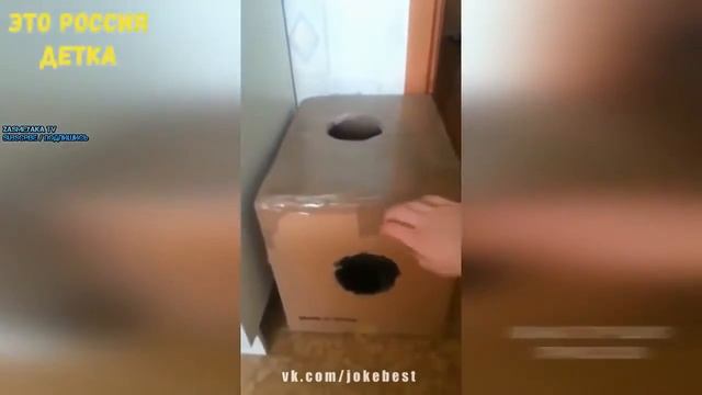 ЛУЧШИЕ ПРИКОЛЫ!!!! ПОДБОРКА 2017 BEST FAILS GAGS JOKES COMPILATION WE LOVE RUSSIAN COMPILATION 2017 смотреть онлайн