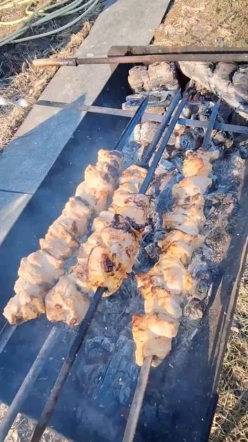 Еда шашлык из мяса свинины в маринаде #шашлык смотреть онлайн