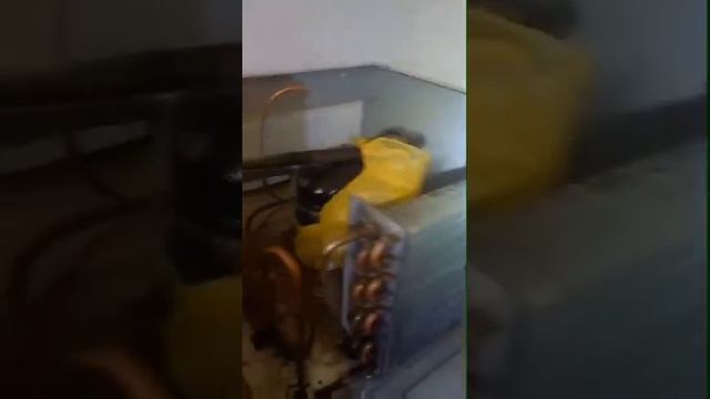 Холодильный шкаф Polair ремонт смотреть онлайн