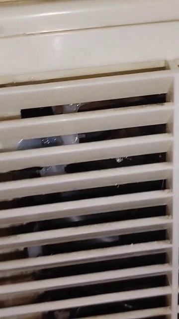 DIY: Самодельная вытяжка из кулера от компьютера ("позже смотреть онлайн