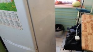 Холодильник Индезит не включается