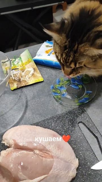 Он ест много и хорошо 🤣🤣🤣 смотреть онлайн