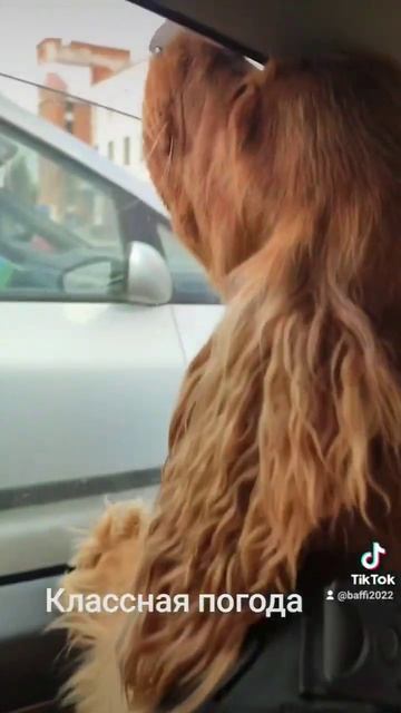 Классная погода 2024 г. смотреть онлайн