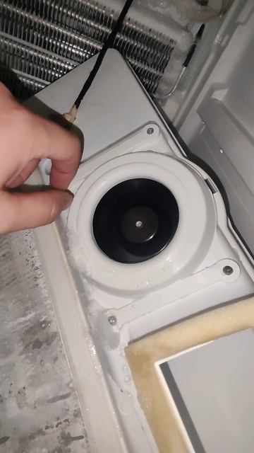 Холодильник Hotpoint Ariston 3 года, не холодит/морозит #ставр? смотреть онлайн