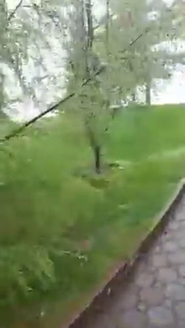 Гольф клуб Жайляу в Алматы