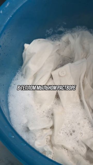 Стираем белую рубашку#прачечная #химчистка #белаяруба смотреть онлайн