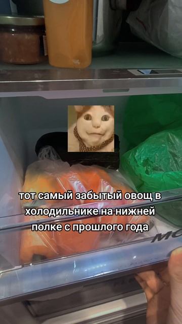 Тот самый забытый овощ в холодильнике// бу испугался н? смотреть онлайн