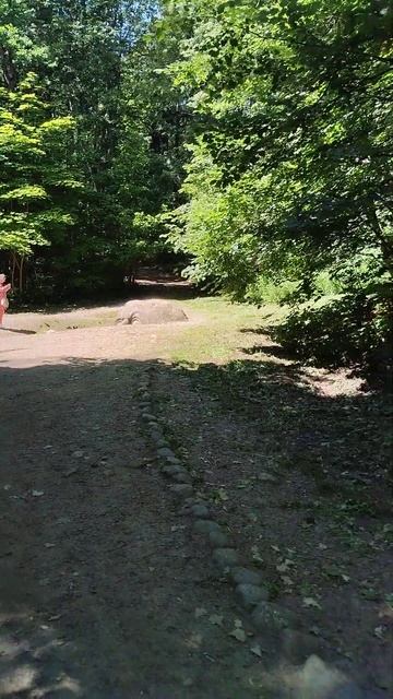 Есть город золотой! смотреть онлайн