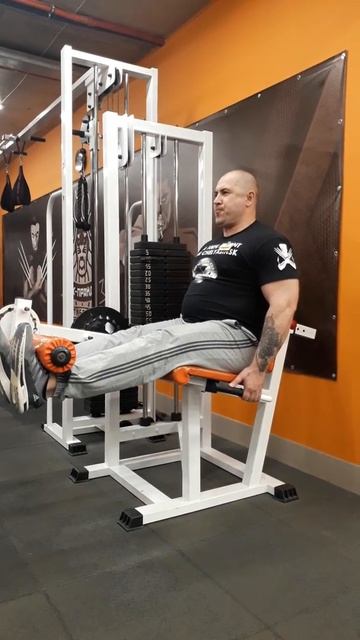 Владимир Беломестных. Вес 95кг. Разгибание ног в тренаж смотреть онлайн