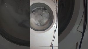 Стирка на Bosch Classixx 5 Синтетика 40
