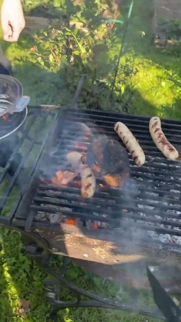 Гриль на огне #еда #bbq #мясо смотреть онлайн