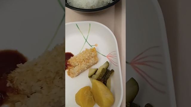 Сахарный диабет 1 типа. Мой обед в японской больнице. смотреть онлайн