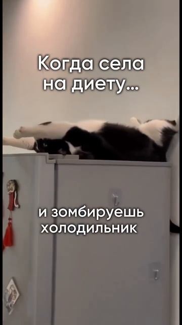 Диета☺️ #похудение #правильноепитание #похудеть #сни? смотреть онлайн