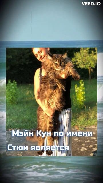 НЕВЕРОЯТНЫЕ РЕКОРДЫ В КНИГЕ ГИНЕССА 😮 #shorts #short #реком? смотреть онлайн