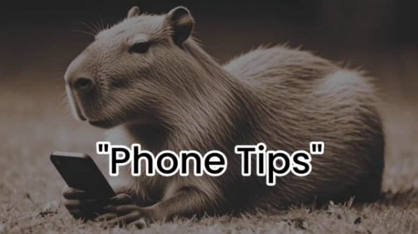 Phone Tips