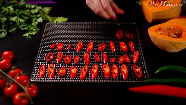 Дегидратор Pullman PL-1108