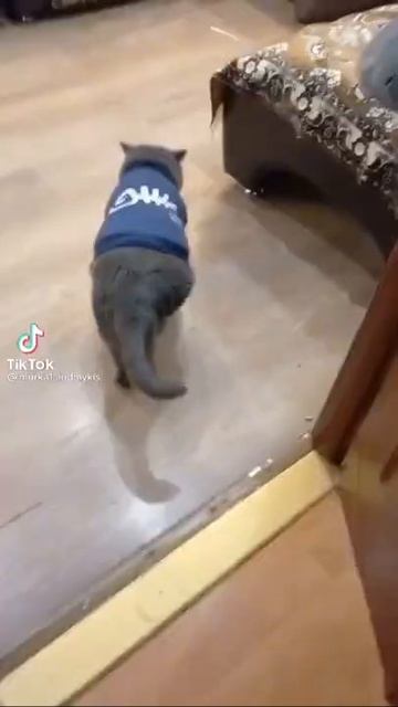 Холодно холодно ну и чё? В холодильнике сальце и харчо!