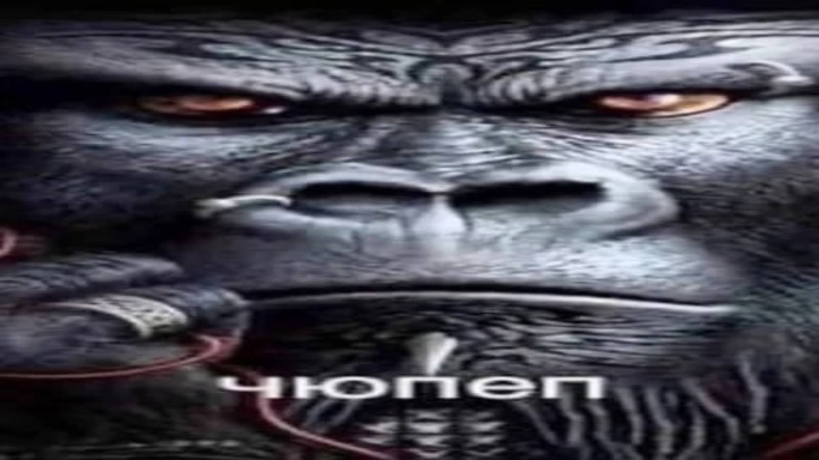 StudyBuddy - твой мотиватор в учебе