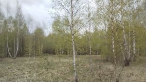 Торги на земельный участок с КН 50:04:0240302:717