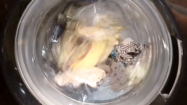 Стирка цветного! Хлопок 40 1000 интенсивная+эко бабл. смотреть онлайн