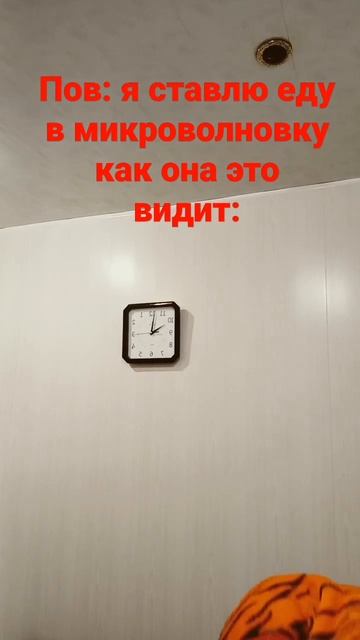 как микроволновка меня видит когда я в ней что-то разо? смотреть онлайн