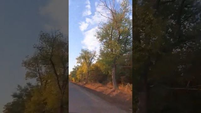 Мы помним Боярыню Морозову, и в облаках мы видим ее лик смотреть онлайн