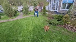 Как мы отметили 9 мая 🎈.Приехал сын и внучка.Шашлыки ,Игры и Хорошее настроение 😁