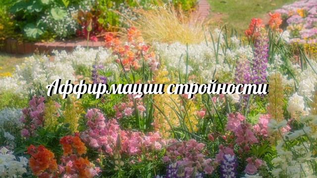 Аффирмации похудения ✨️🌙 Слушай и стройней смотреть онлайн