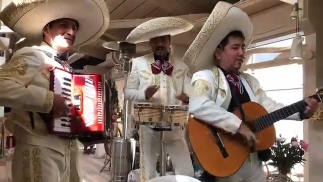 La Cucaracha - Mariachi México, поздравления в частном коттедже, в деревне Юрьево