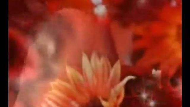 КСЮШЕНЬКА С ДНЕМ РОЖДЕНИЯ смотреть онлайн