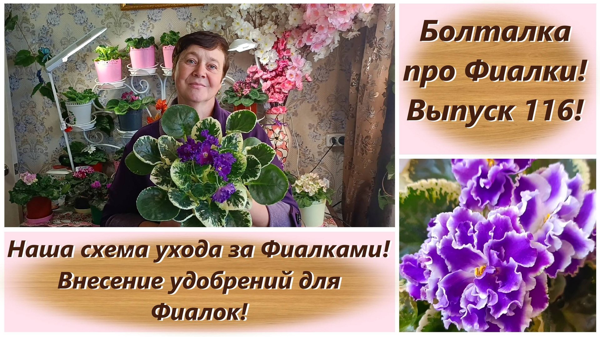 Болталка про Фиалки! Выпуск 116! Наша схема ухода за Фиалками! Внесение удобрений для Фиалок! смотреть онлайн