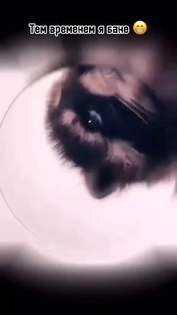 Мужской отдых в бане. Не удержался 😂 смотреть онлайн